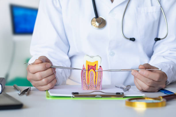 Best Emergency Dental Services for Seniors in Keyport, NJ
